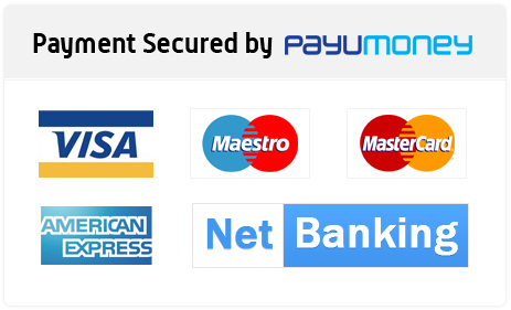 onlinepayment